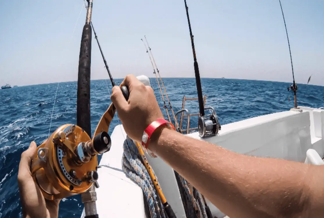 Pesca